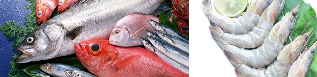 Fish & Prawn