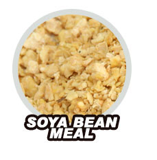 Soya Bean Meal